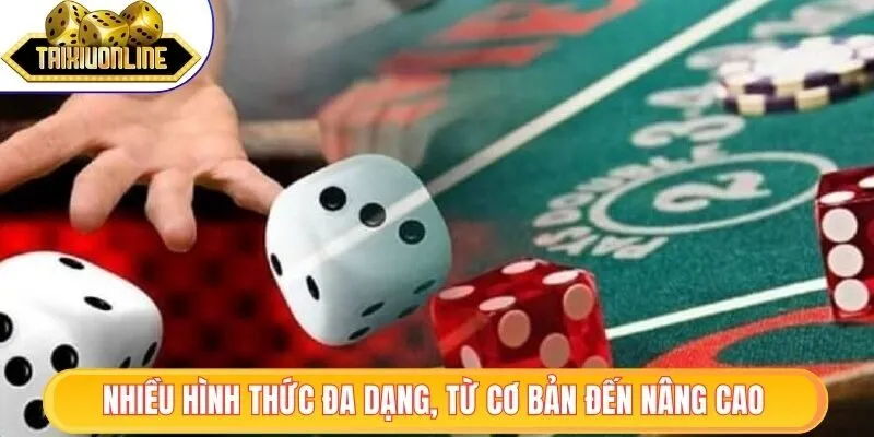 Kinh Nghiệm Chơi Tài Xỉu Chuẩn, Giúp Bạn Tăng Cơ Hội Thắng 2 Nhiều hình thức đa dạng, từ cơ bản đến nâng cao